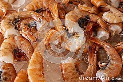 Close fresh raw shrimps Stock Photo