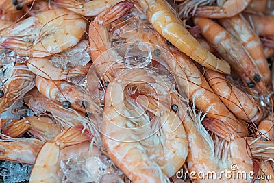 Close fresh shrimps on ice at fishermen market store shop Stock Photo