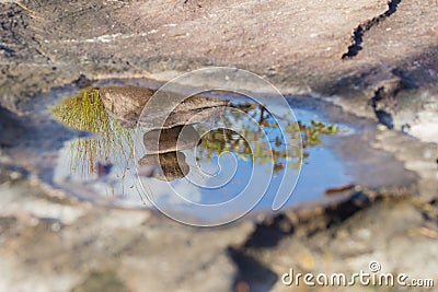 Close pile of stones in the mountain with sunshine, zen Stock Photo