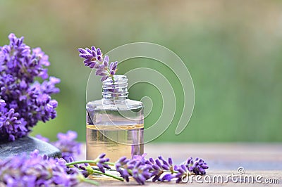 Close on purple lavender flower in a bottle of essential oil on a table Stock Photo