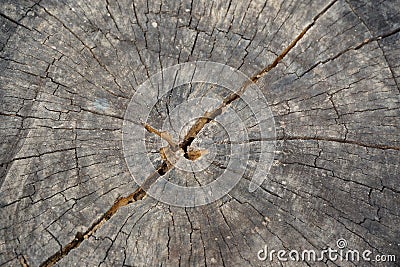 abstract background from weathered old wood Stock Photo