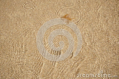 abstract soft beach sand background in water Stock Photo