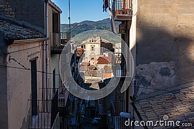 Aave plant in Sicily, Italy Stock Photo