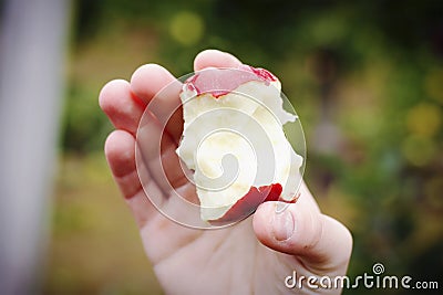 Close up of an apple core being held Stock Photo