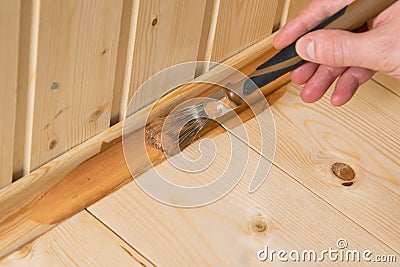 Close-up, applying dark varnish on a wooden baseboard interior Stock Photo