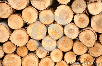 Close-up Arrange Orderliness of the timber Stock Photo