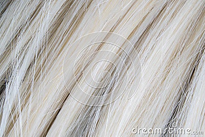 Close up of artificial blond wig hair. Stock Photo