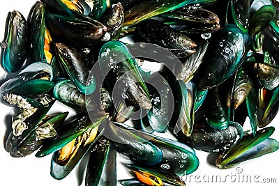 Close up Asian Green mussels shell background Stock Photo
