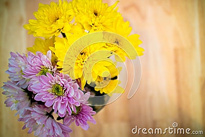 Close up Astra flowers bouquet in the vase on the table Stock Photo