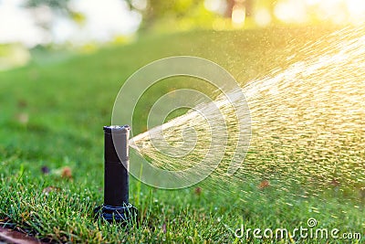 Close-up automatic garden watering system with different sprinklers installed under turf. Landscape design with lawn hills and Stock Photo