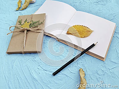 Close up autumn minimalist composition with gift, empty notebook and pencil Stock Photo