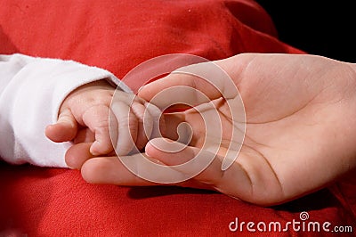 Close-up of babys hand holding hand Stock Photo