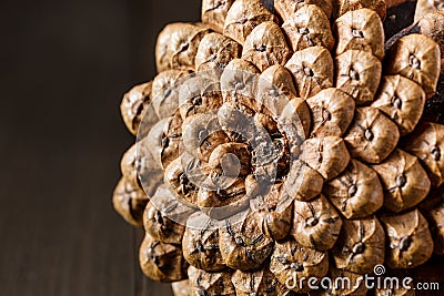 Close-up of the back of a pine cone isolated on black, showing the patterns of the fibonacci numbers.Pine cones on wooden Stock Photo