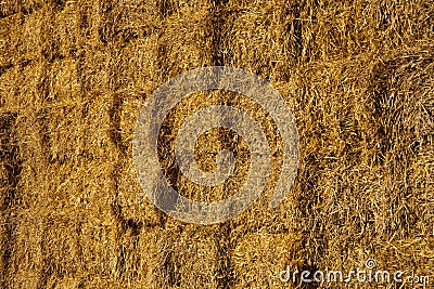 Close-up of bale of straw Stock Photo