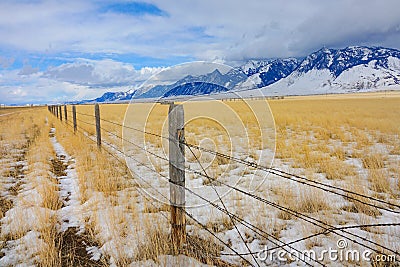 CLOSE UP: Barbed wire fence runs around a golden pasture under the snowy Rockies Stock Photo