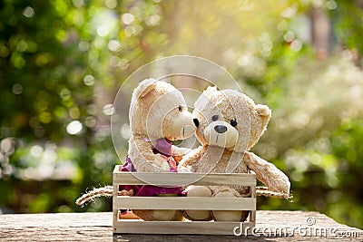 Close up bear kiss lovely brown two teddy bear in wooden box on Stock Photo