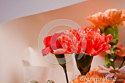 Close up of beautiful bouquet of carnation flowers in vase Stock Photo