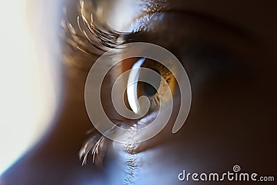 Close-up of beautiful little girl brown eye Stock Photo