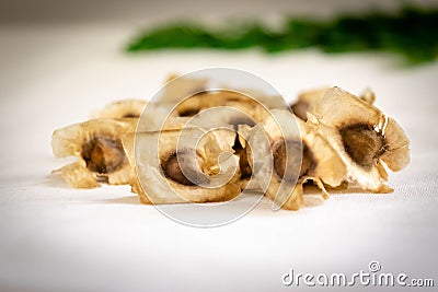 Close up of Beautiful Moringa seeds on white background with moringa leaves in background Stock Photo