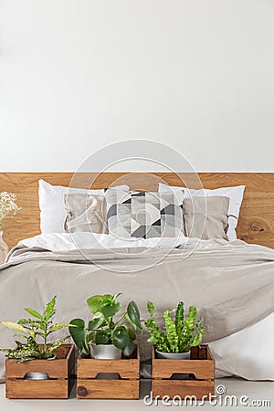 Close-up of a bed with sheets and pillows with boxes and plants Stock Photo