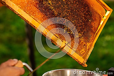 Close up of beekeeper hands cuts wax from honeycomb frame with a special knife into a bowl. Honey production Stock Photo