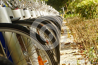 Close-up of bike wheels, public bike rental facilities on the street Stock Photo