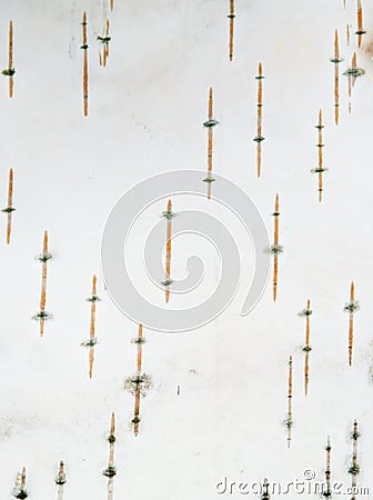 Close-up of birch rind Stock Photo