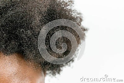 Close up of Black African American Woman`s Kinky curly hair in natural state isolated on white background for Black healthy hair c Stock Photo