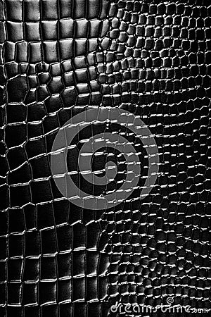 Close up of the black crocodile leather Stock Photo