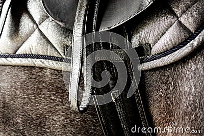 Close up of black leather saddle on horse back Stock Photo