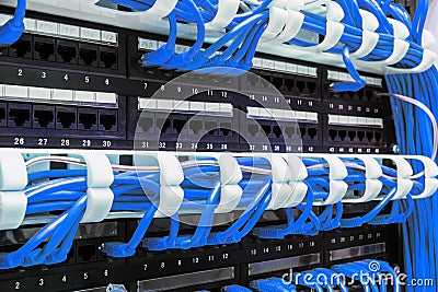 Close up of blue network cables connected to patch panel Stock Photo