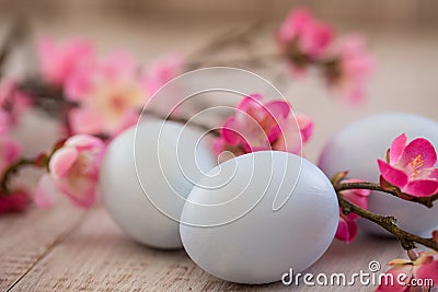 Close up of Blue Pastel Colored Easter Eggs and Cherry Blossoms Stock Photo