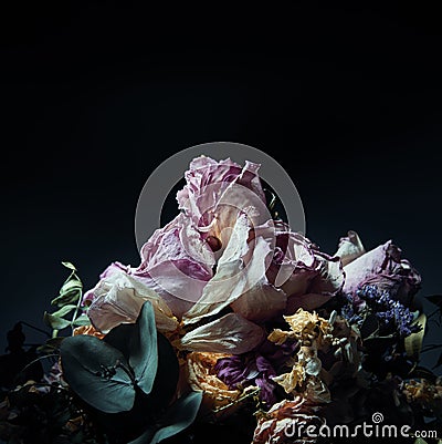 Close up of bouquet of dried flowers over dark background with copy space Stock Photo