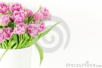 Close up bouquet of pink tulips in bucket. Fresh spring easter flower. White background , copy space Stock Photo