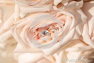 Close up bouquet of roses of pastel shades Stock Photo