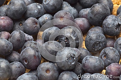 Close Up of Bowl of Cereal with Blueberries Stock Photo
