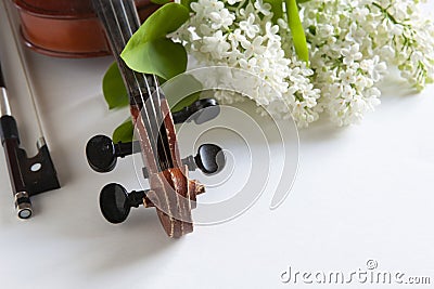 Close up of Branch of blossoming white lilac and old violin on the white background Close up, Selective focus Stock Photo