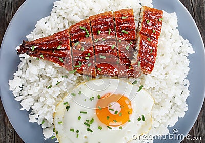 Close-up of broiled unagi with rice and egg Stock Photo