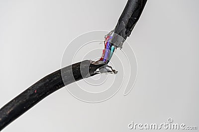 Broken black electric cord with red and electric blue wires intertwined. Damaged power electrical cable on white background, close Stock Photo