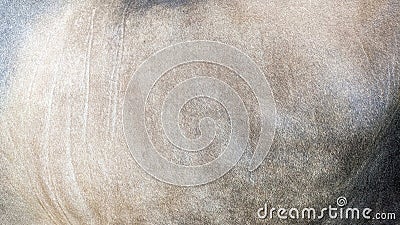 close up of brown cowhide fur texture for background with copy space Stock Photo