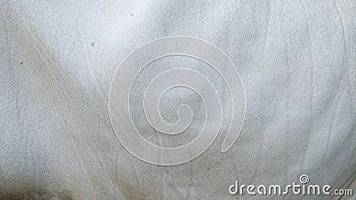 close up of brown cowhide fur texture for background with copy space Stock Photo