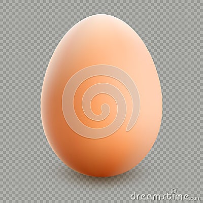 Close up of brown egg isolated. EPS 10 Vector Illustration
