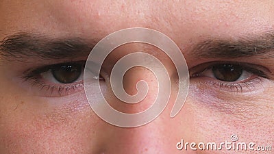 Close Up Brown Eyes Of Guy Staring And Blinking With Angry Sight Portrait Of Male Face Seriously Looking Into Camera Stock Video Video Of Head Focus Close Up Brown Eyes Of Guy Staring And Blinking With Angry Sight Portrait Of Male Face Seriously Looking Into Camera Stock Video Video Of Head Focus