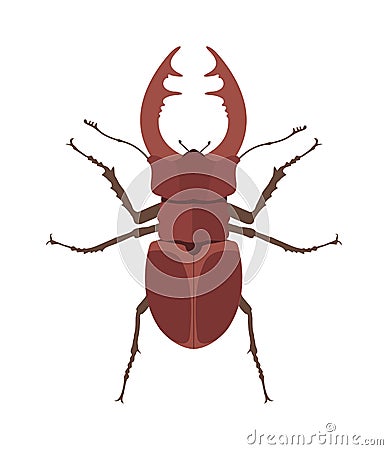 Close up brown horned beetle cartoon vector illustration. Rhino bug insect. Vector Illustration