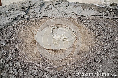 Close-up of bubbling mud in crater of mud volcano Stock Photo