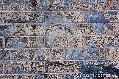 Close-up Building Detail Historical Brick Wall Located in Florence Texas Stock Photo