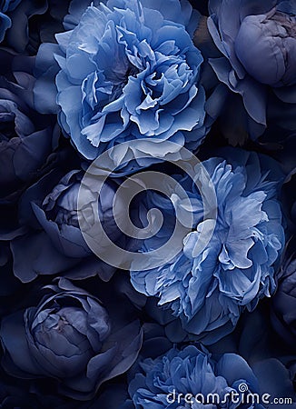 a close up of a bunch of blue flowers Stock Photo