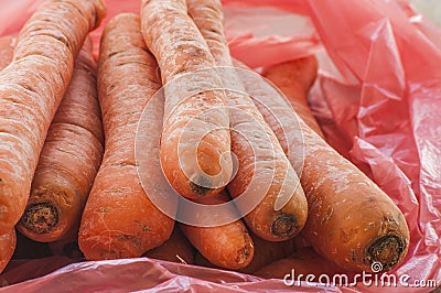 Close up of a bunch of carrots Stock Photo