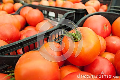 Close-up of bunch of freshly harvested tomatoes Stock Photo