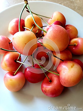 Close up on a bunch of red and yellow cherries on a white plate Stock Photo
